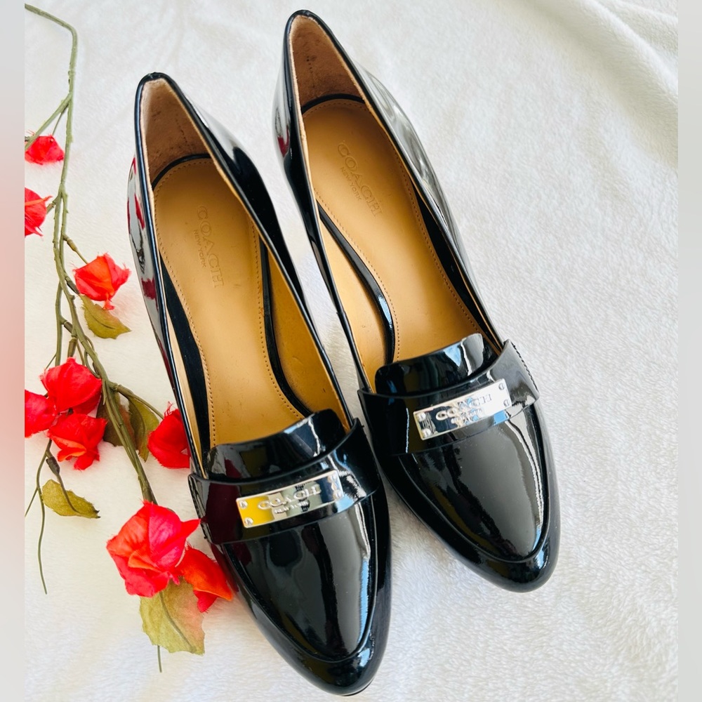🤎HP | COACH| Gorgeous pumps